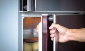 household fridge freezers cause wastage of electricity at home